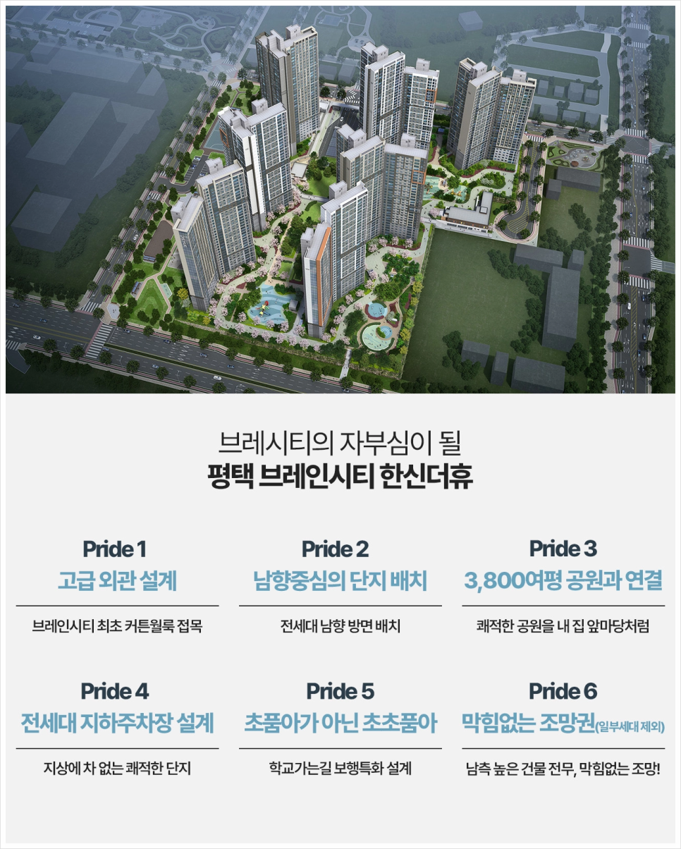 펜타브레인 이미지