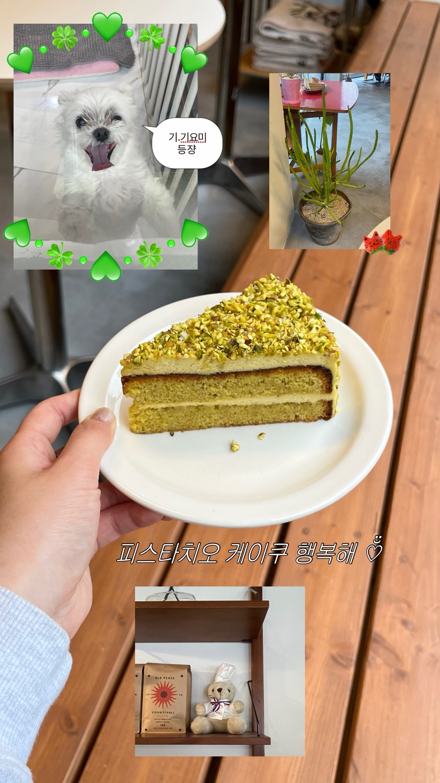 조은 cafe 이미지