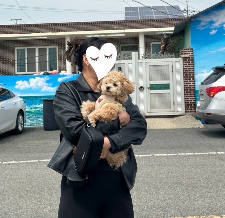 교촌상회 이미지