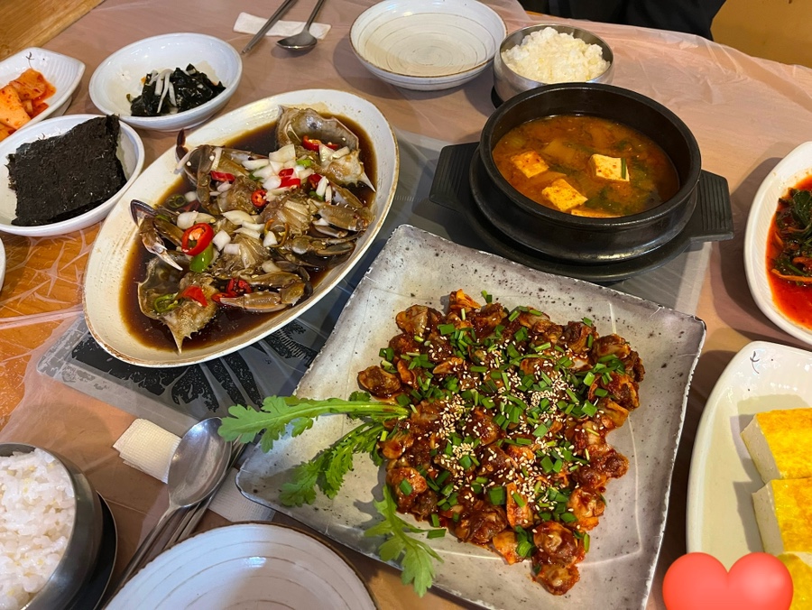 솥쟁이 이미지