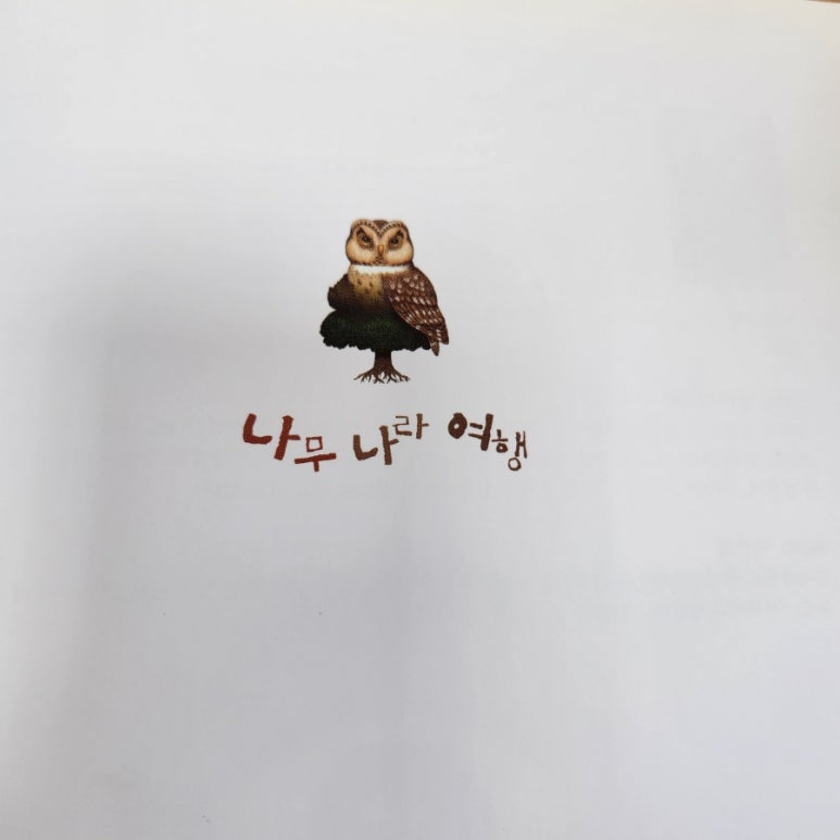 티윗 이미지
