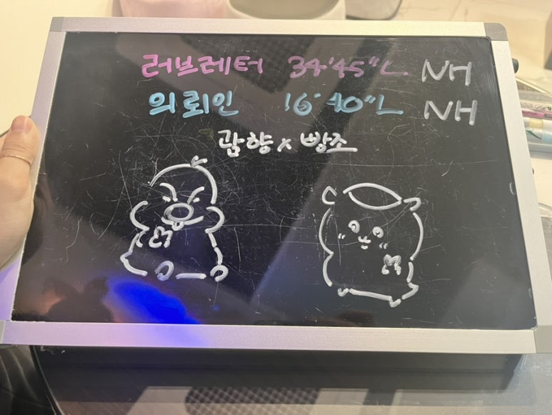 래빗온더문 이미지