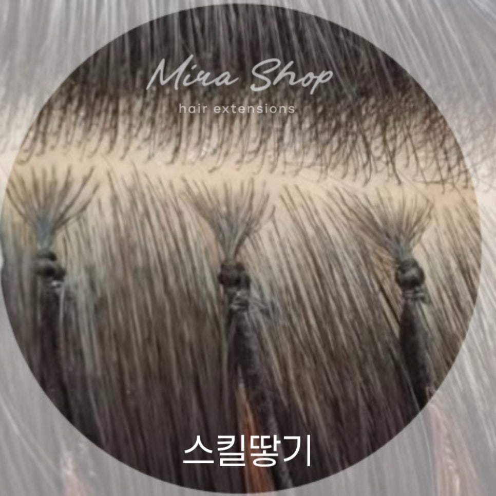 붙임머리센스 이미지