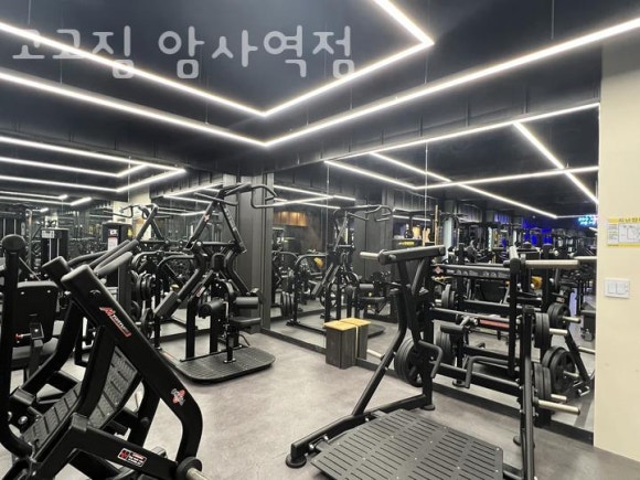 고고짐 이미지