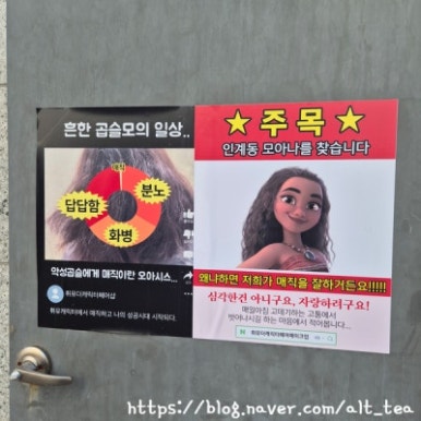 유헤어 이미지