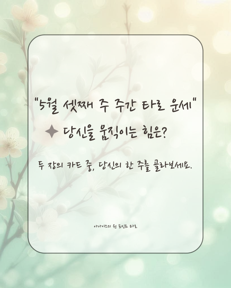 (주)아나이스 이미지