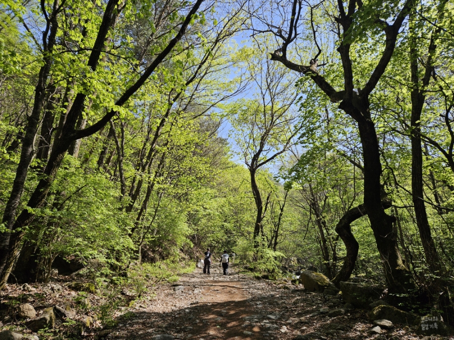 소백산국립공원 천동탐방안내소 이미지
