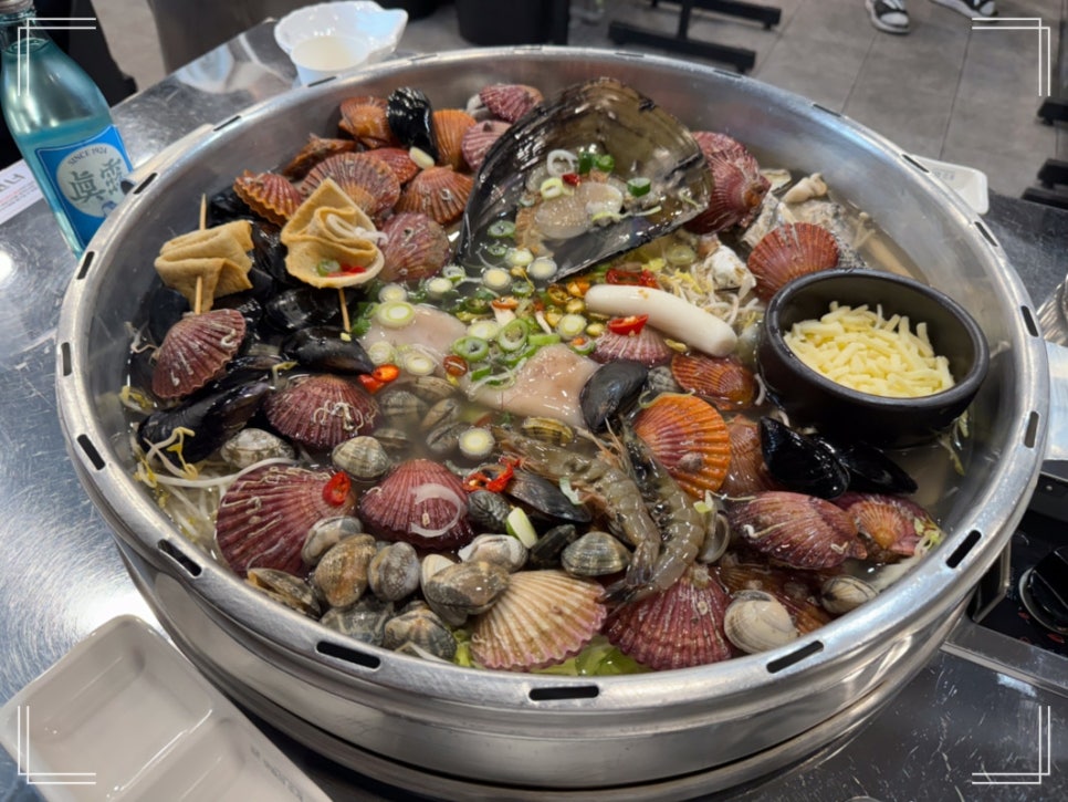 조개향 이미지