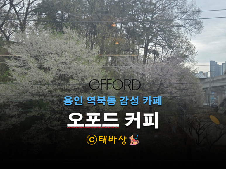 오포드 이미지