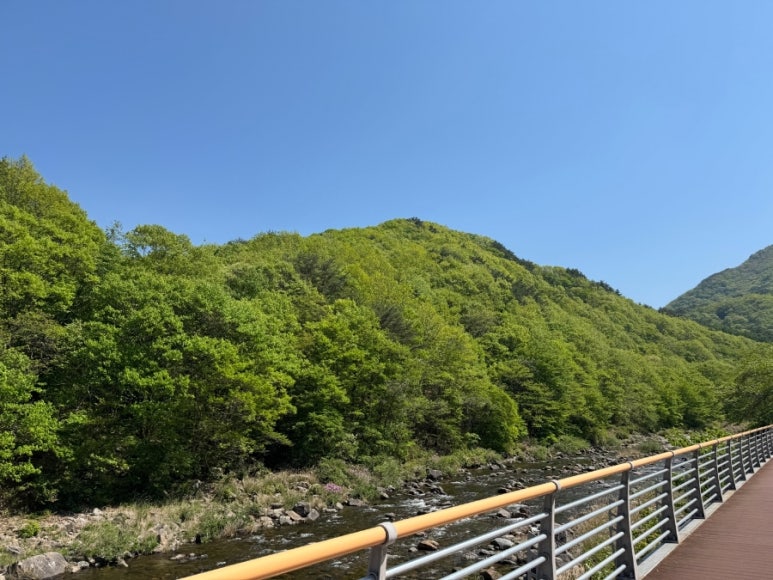 지리산뱀사골리움펜션 이미지