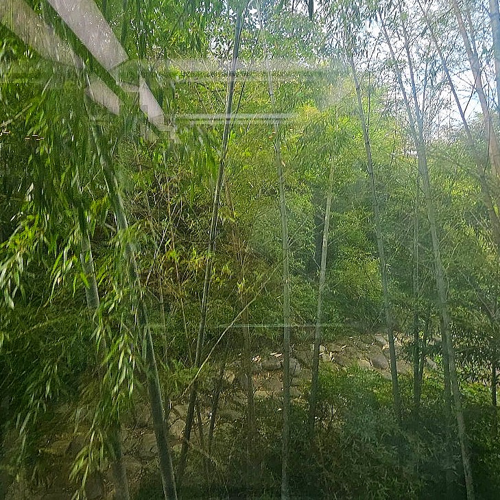 금호당구장 이미지