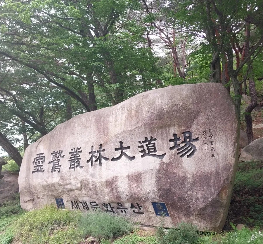 대도장 이미지