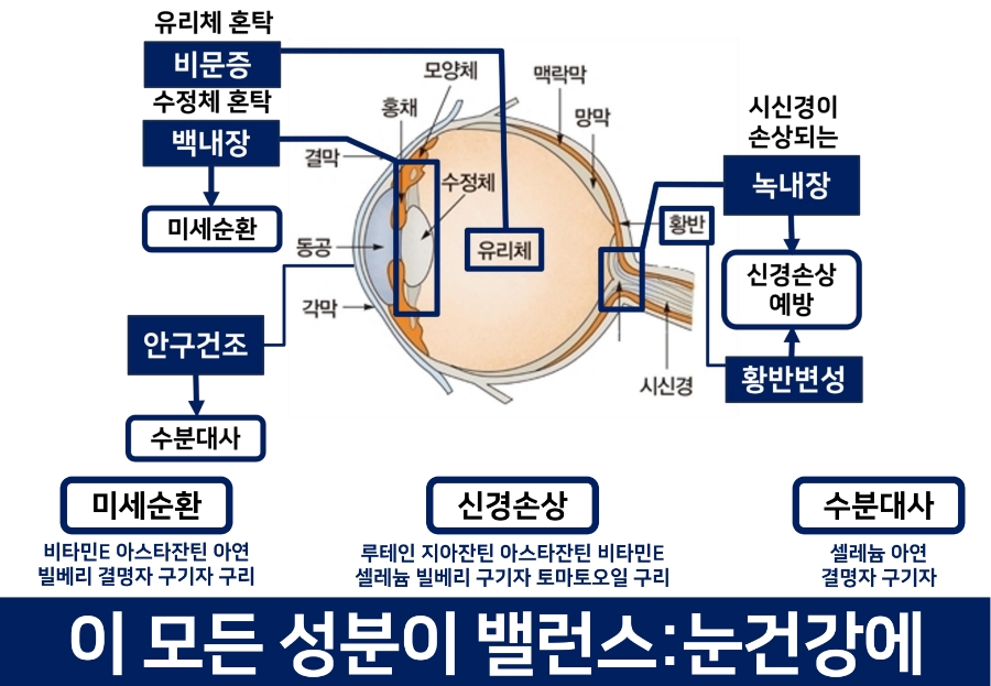 건강다드림 이미지