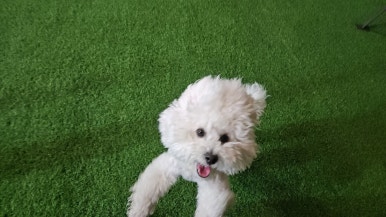 예동에너지 이미지