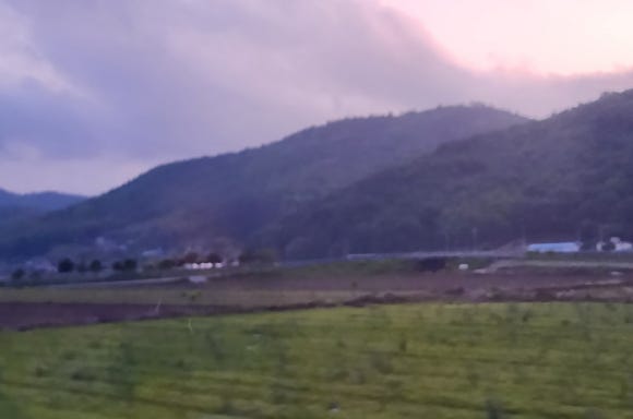 진도카멜리아힐즈오토캠핑장 이미지