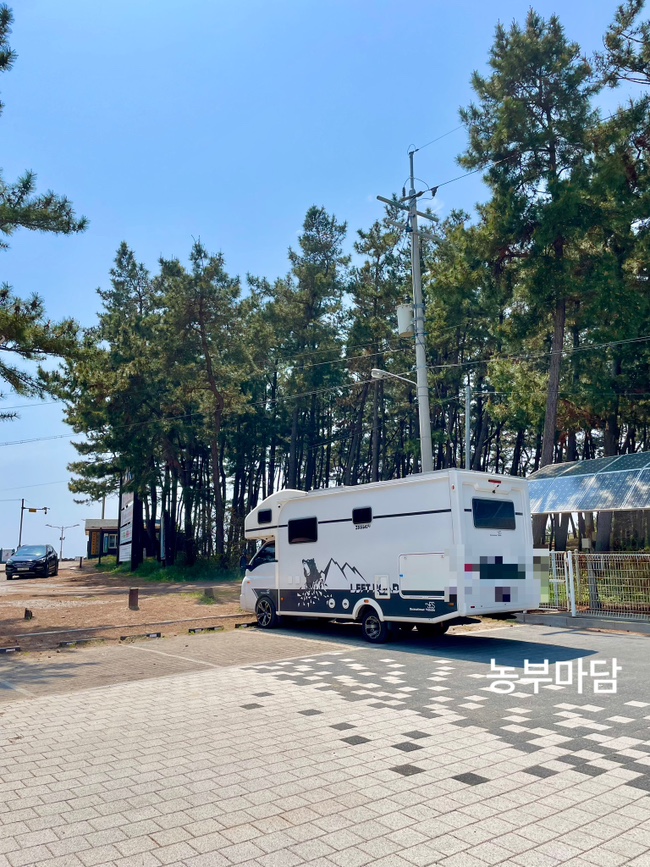삼봉카 이미지