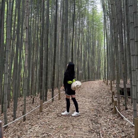 옛날시골보리밥집 이미지