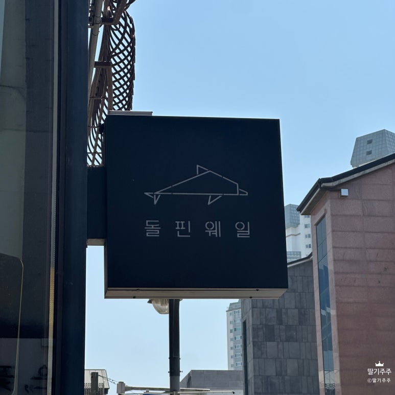 돌핀웨일 이미지