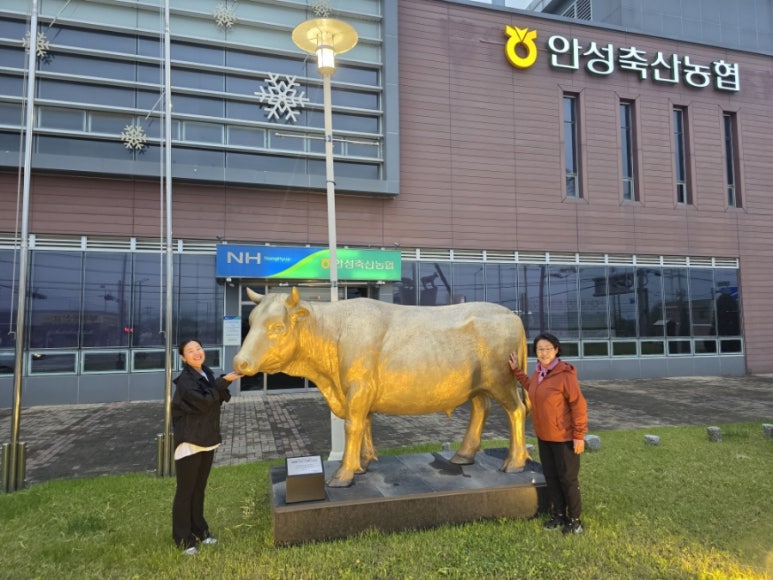 안성축산농협하나로마트 이미지