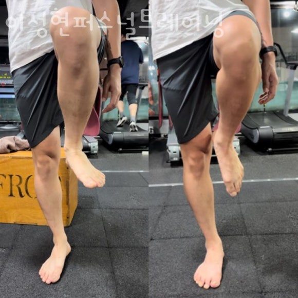 이성현퍼스널트레이닝 이미지