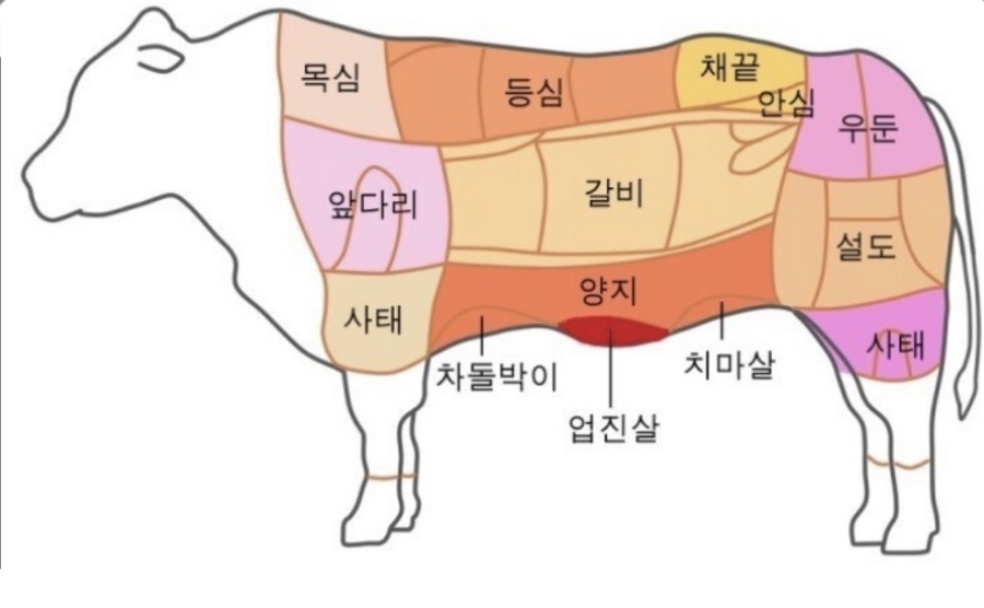 형제한우정육점 이미지