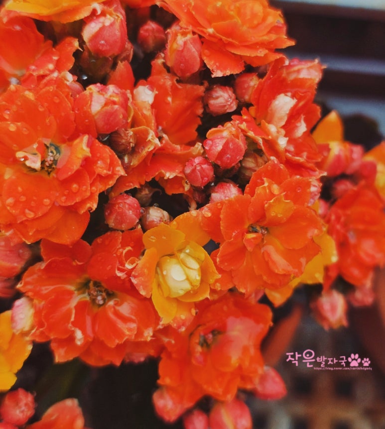 (주)산들로 이미지