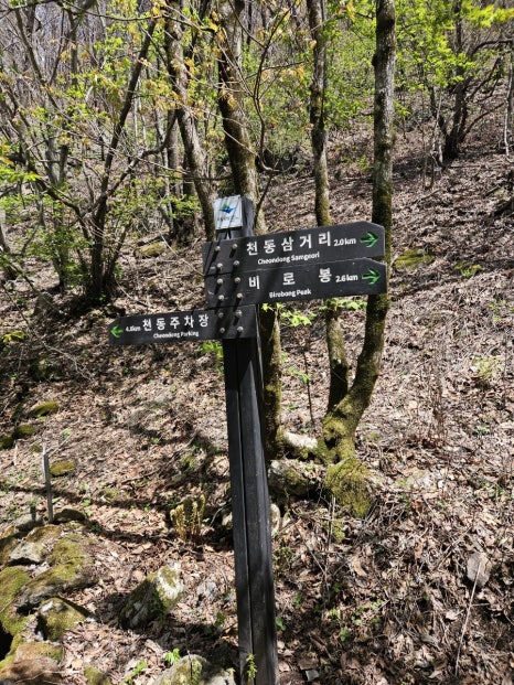 소백산국립공원 천동탐방안내소 이미지