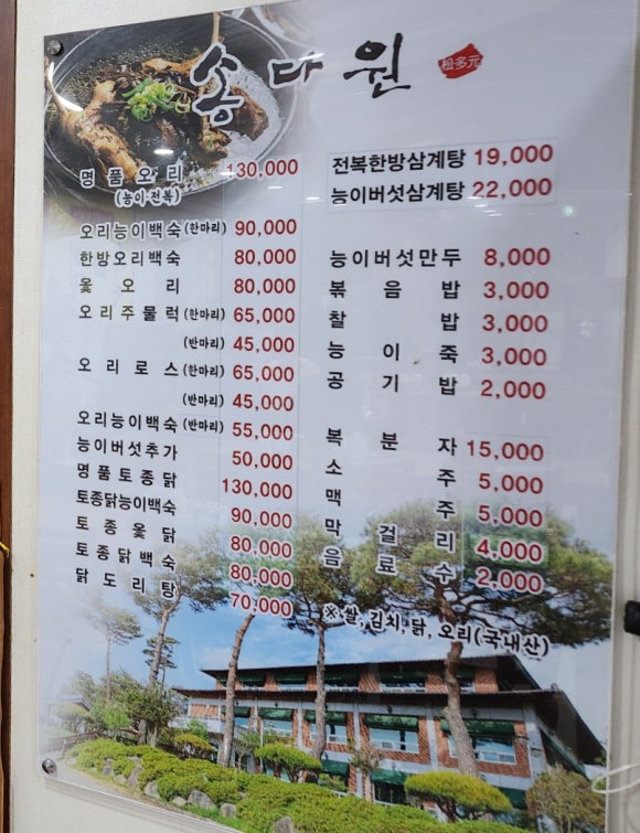 송다원 이미지