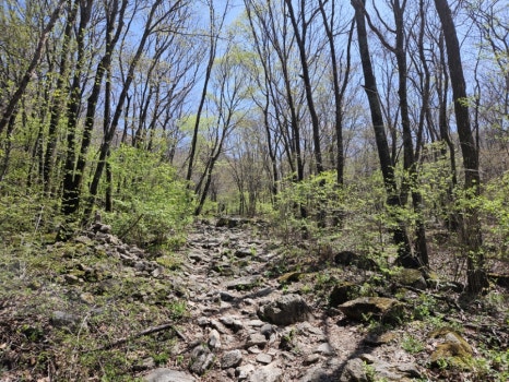 소백산국립공원 천동탐방안내소 이미지
