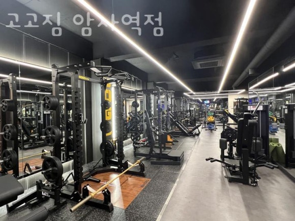 고고짐 이미지