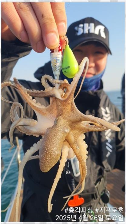 총각과바다 이미지