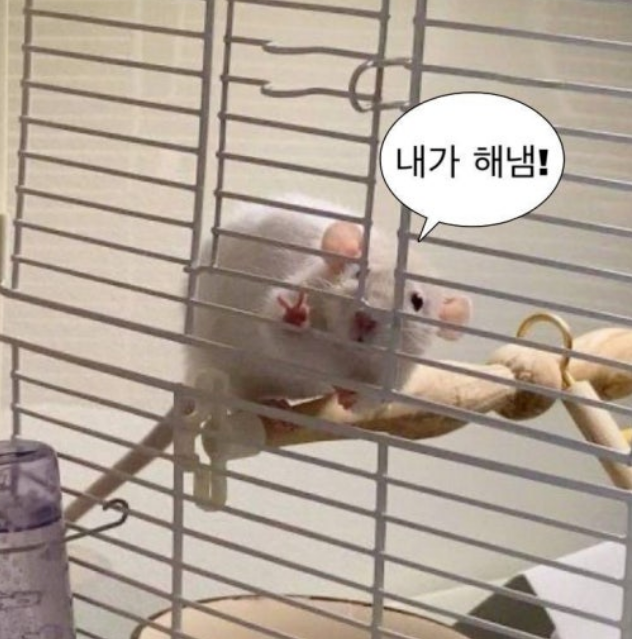 빅브로짐상도점 이미지