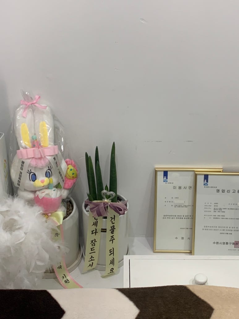 래쉬빈 이미지