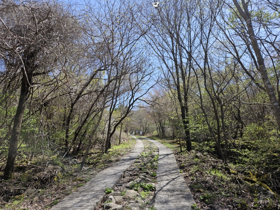 소백산국립공원 천동탐방안내소 이미지