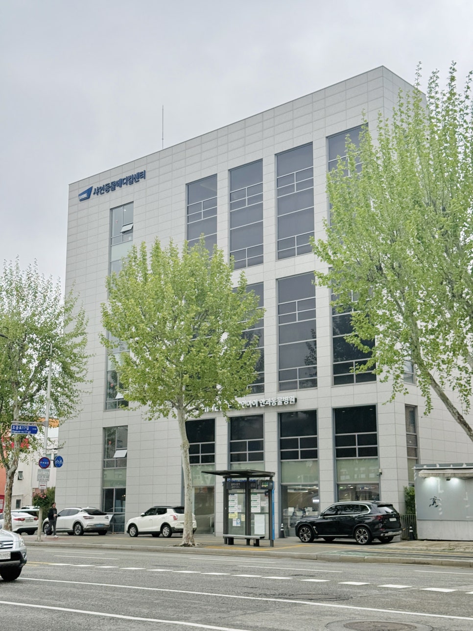 강아지 녹내장 검사, 샤인동물메디컬센터 안과 진료 후기 — 사진 2