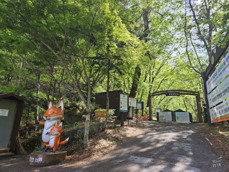 소백산국립공원 천동탐방안내소 이미지