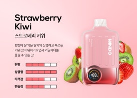반도전자 이미지