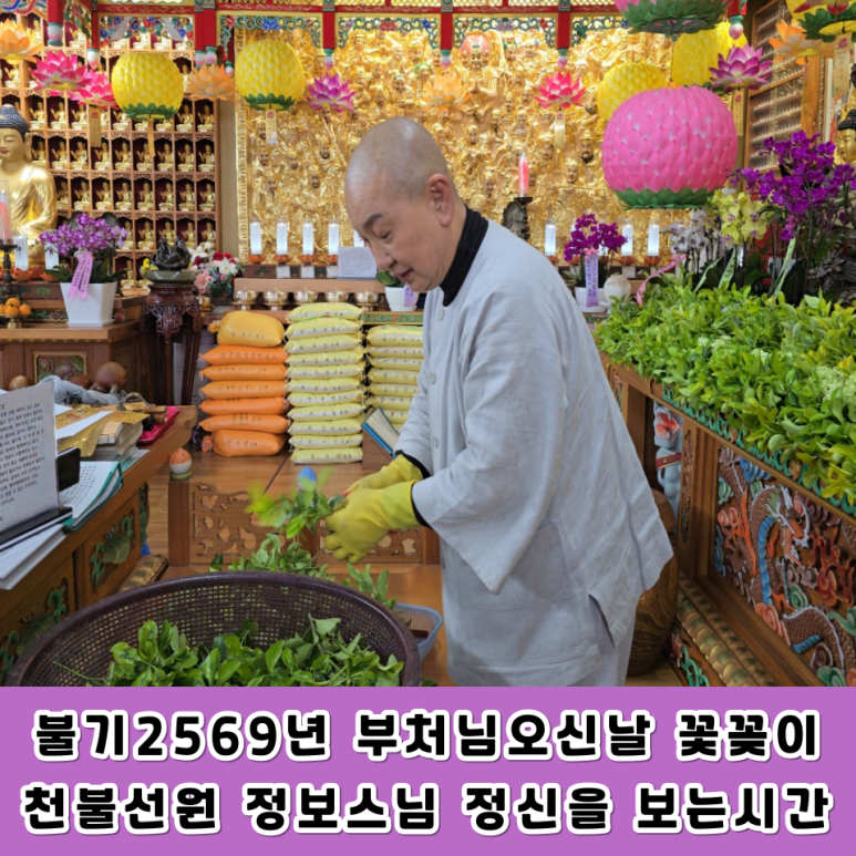 수일정보 이미지