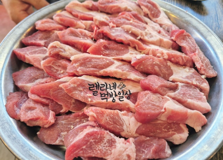 119딧고기 이미지