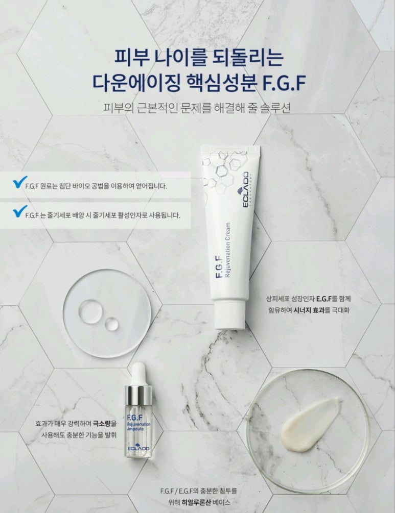 에끌라두 이미지