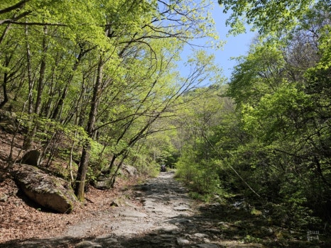 소백산국립공원 천동탐방안내소 이미지