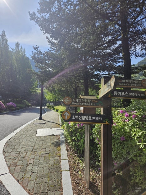 소백산국립공원 천동탐방안내소 이미지