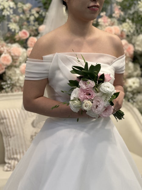 마샬헤어라인 이미지