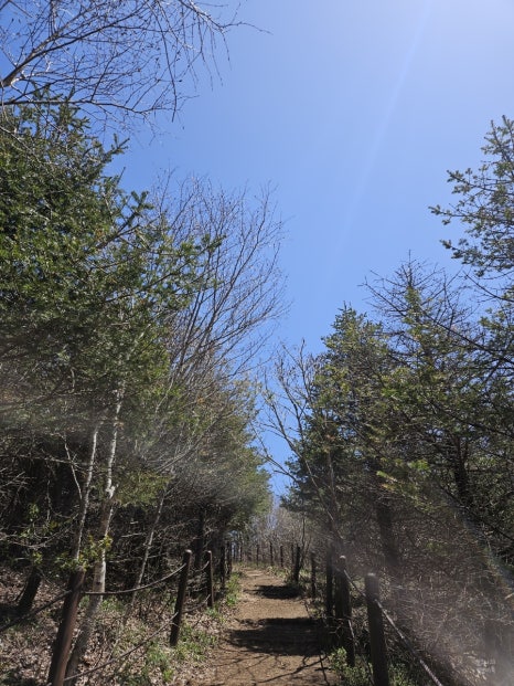 소백산국립공원 천동탐방안내소 이미지