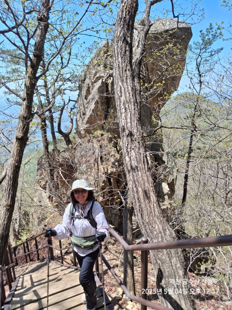 대추나무집 이미지