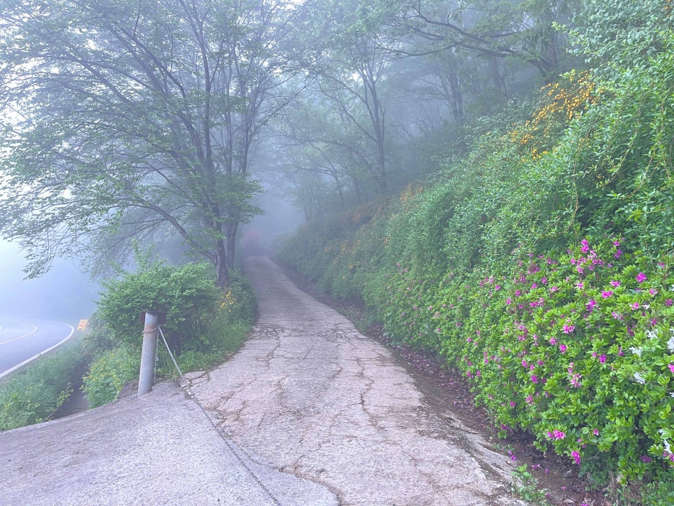 화산신발 이미지