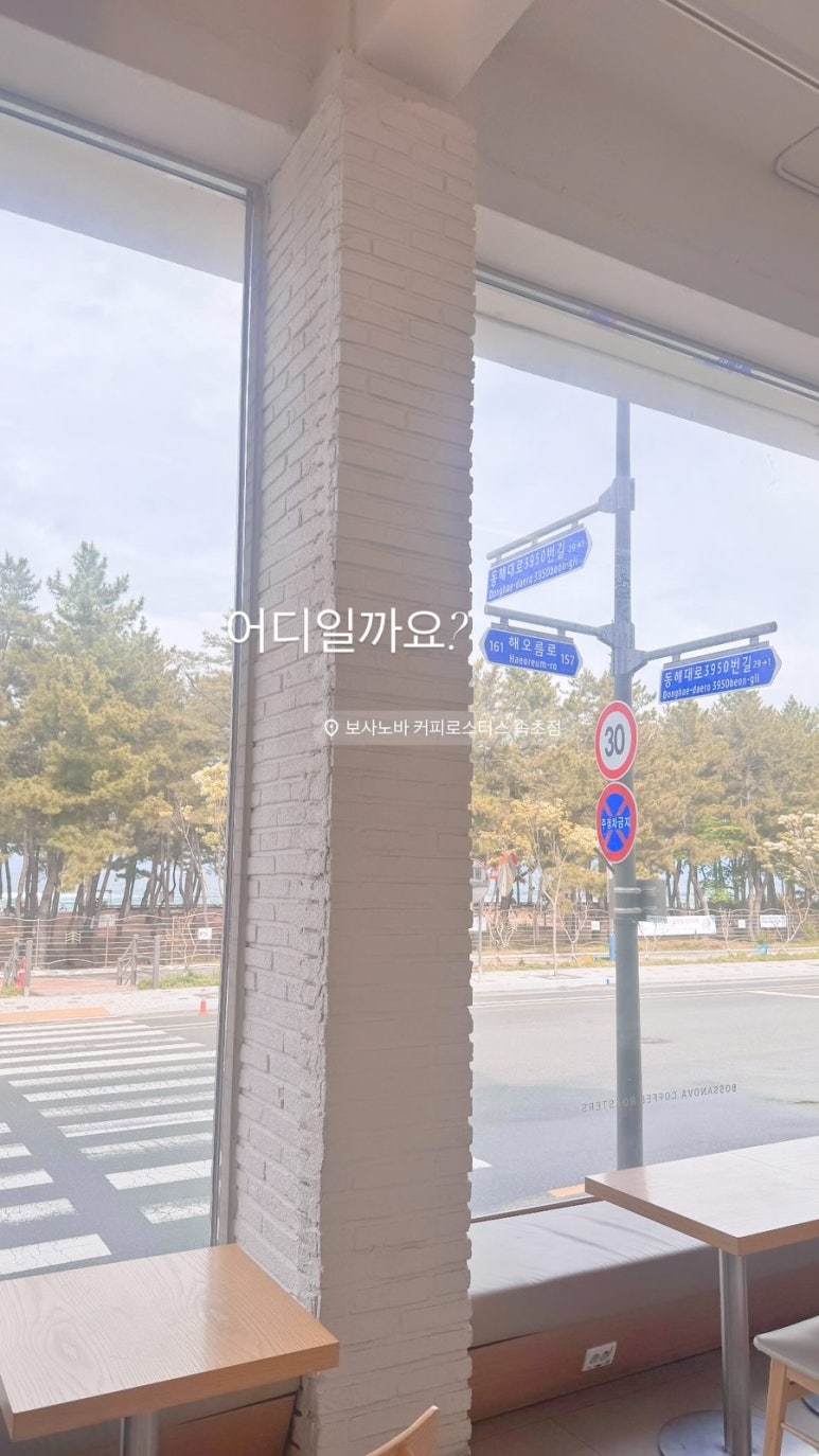 준토탈 이미지