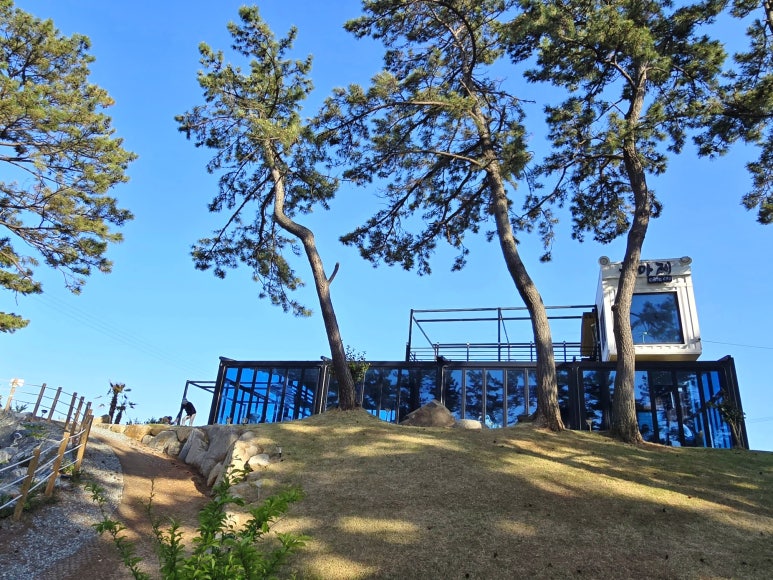 돌마레690 이미지
