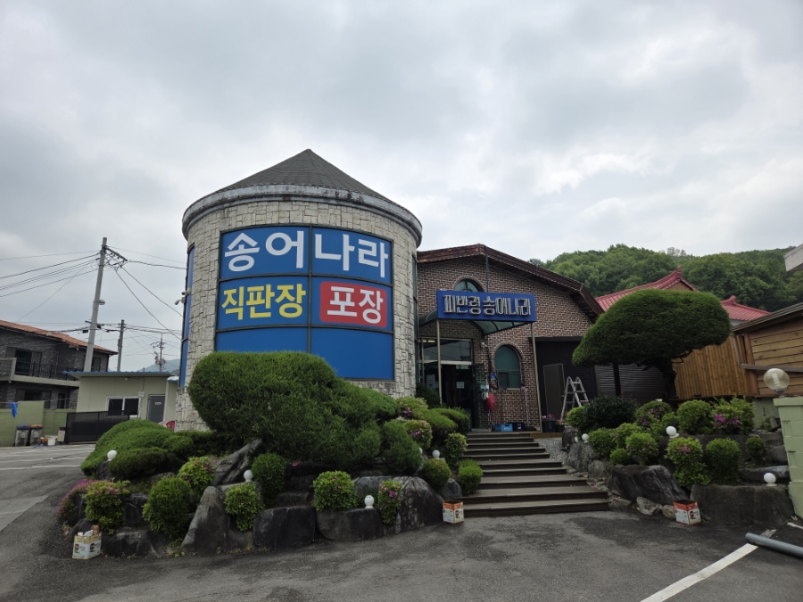 지북동송어 이미지