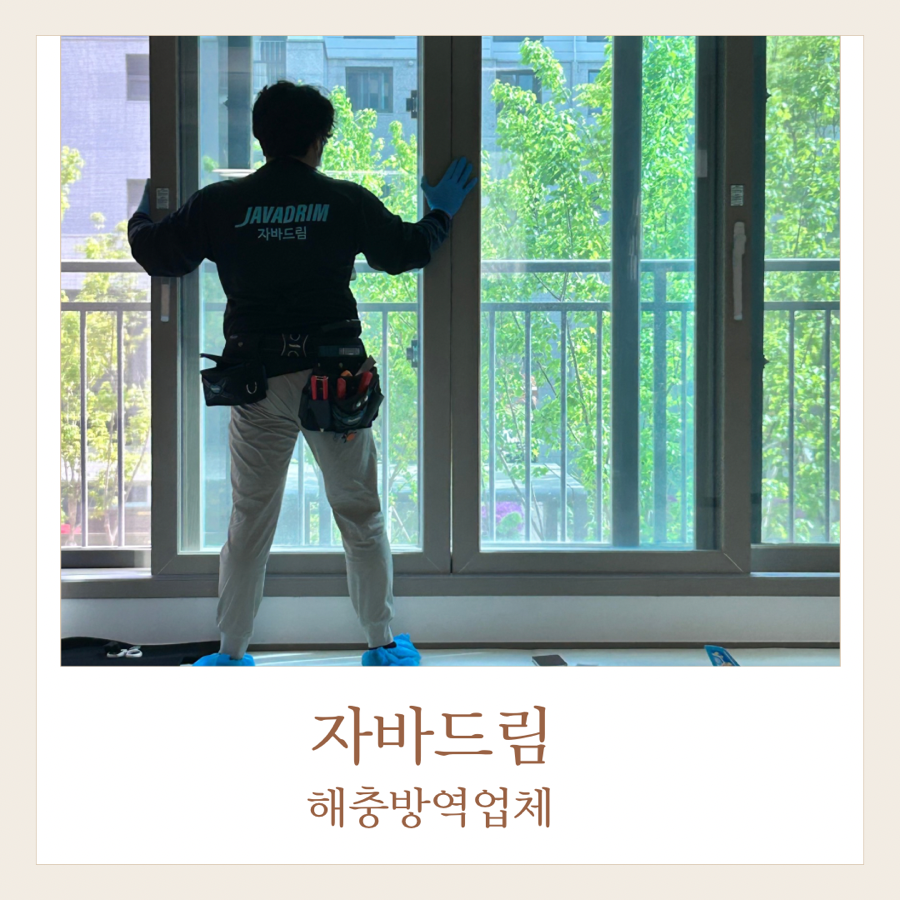 자바드림 이미지